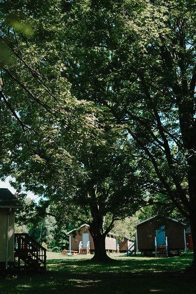Radiant Renewal Retreat Lodges and trees
